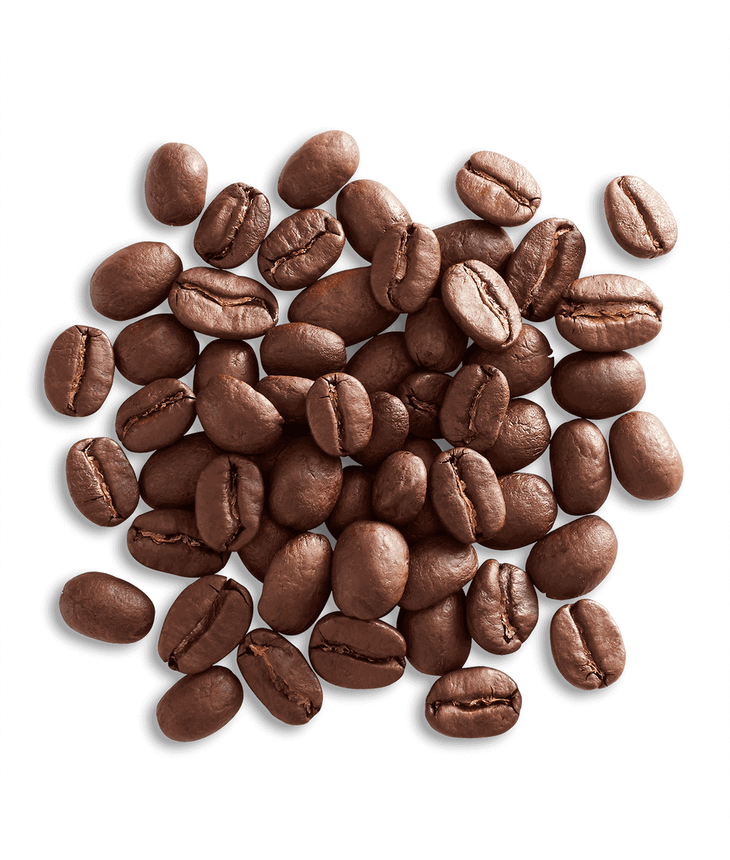 Organic Alameda Morning Blend
