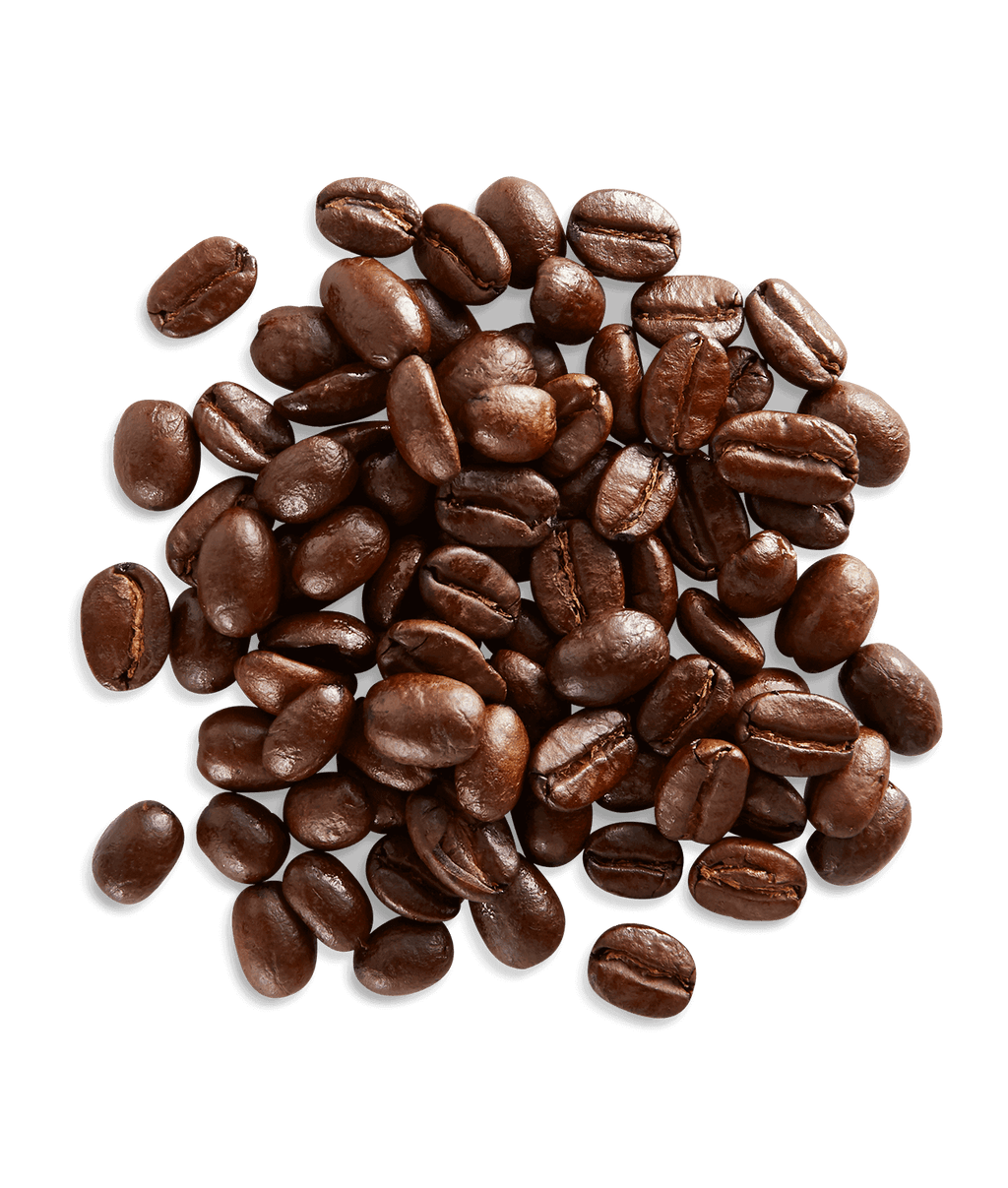 Ethiopian Fancy
