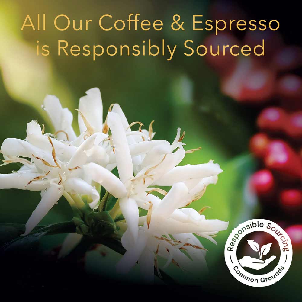 L'OR Ristretto Espresso Capsules